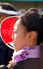 彩りの人　だんじり　憧れ