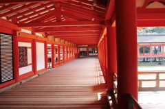 朱路