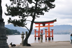 宮島２