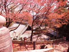 有喜寺（薬王院）
