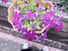 足がうつっちゃった。