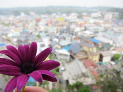 遠見神社からの眺望。