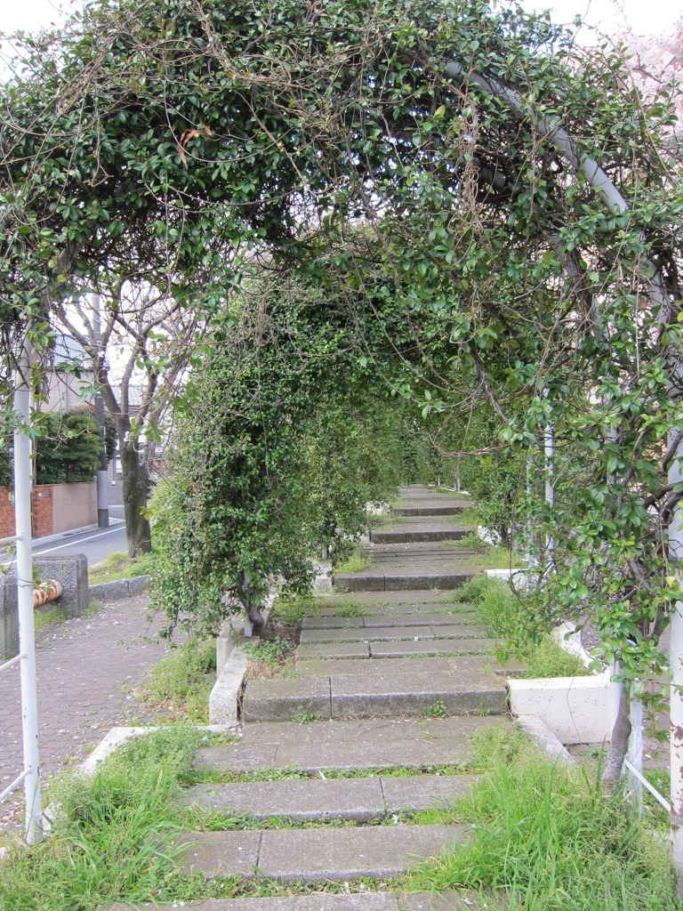草のアーチ