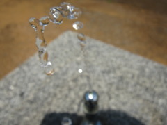 公園のオアシス