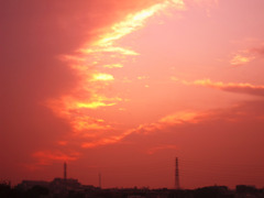 黄金色（こがねいろ）の夕暮れ