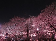 九段下さくらまつり
