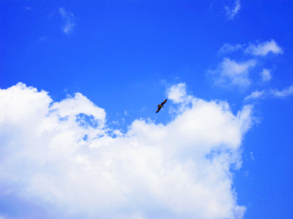青空の風使い。