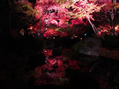照らされた紅葉と水面に映る紅葉
