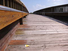 「矢ケ崎公園」の木橋