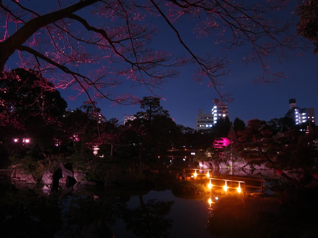清澄庭園ライトアップ