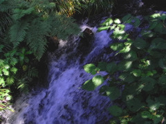湧水