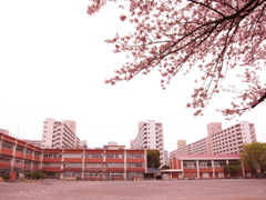 春の小学校