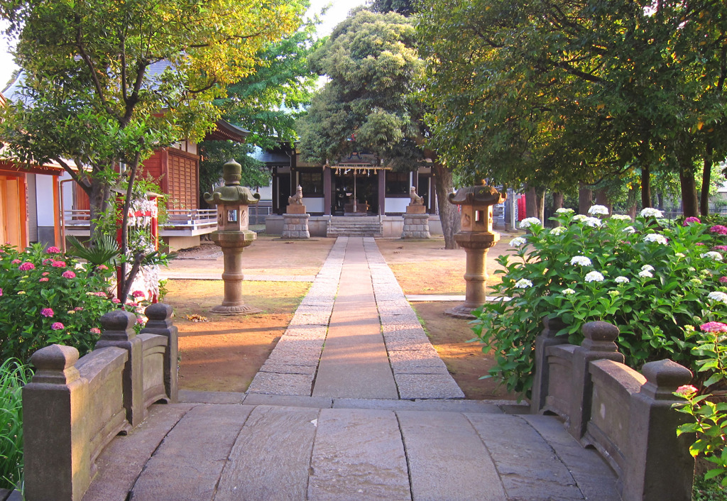 朝の神社