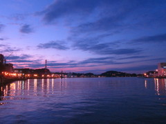 夕暮れのアカリ。