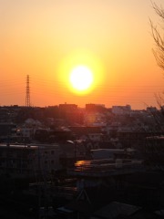 板橋区の夕暮れ