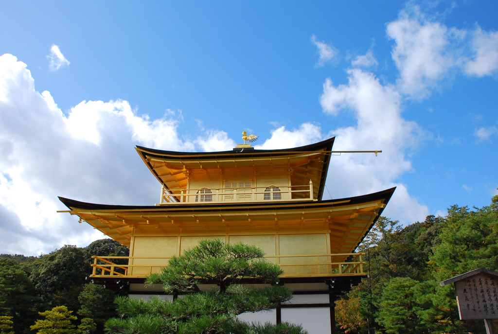 金閣寺　側面w