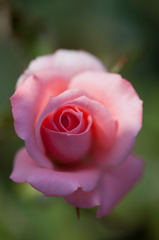 IMG_5394a