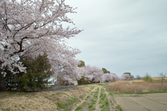 春の野に