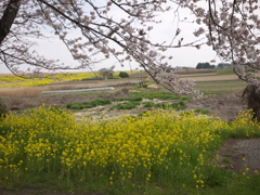 春風