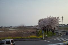 SDIM0258