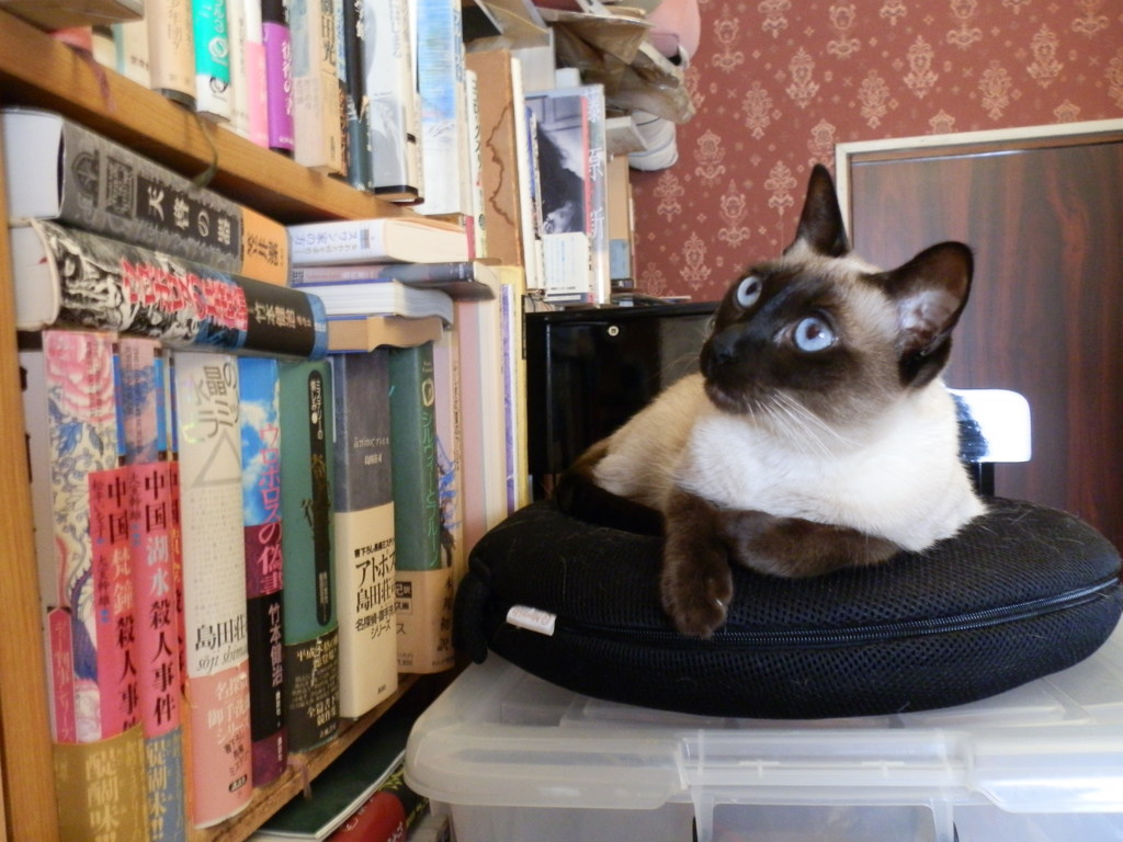 古書店主