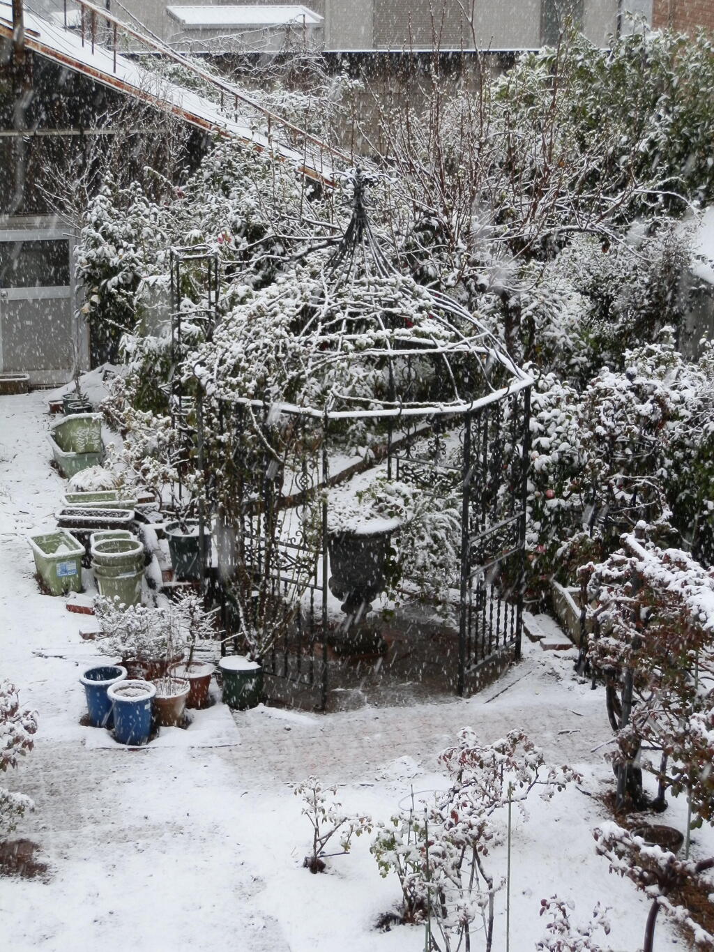 雪