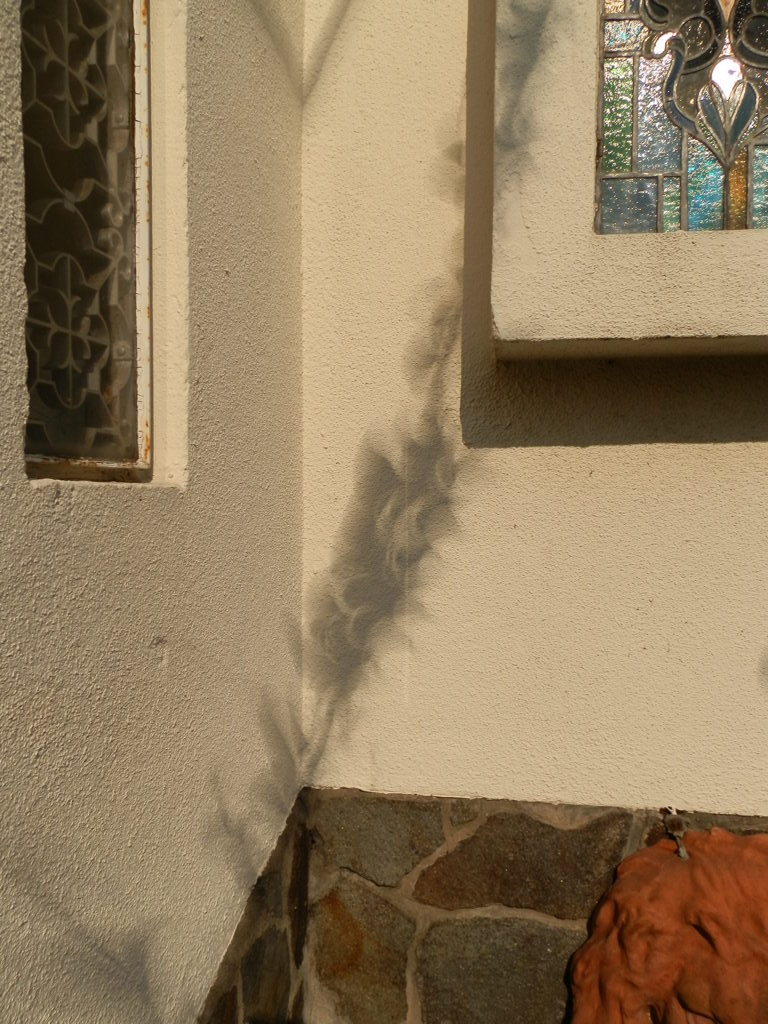ring eclipse