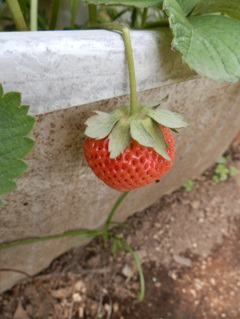 ひとりぼっち