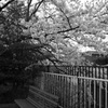 花のベンチ