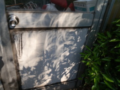 ring eclipse