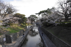 夙川　橋から南向