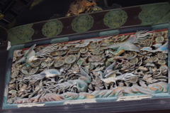 IMGP0586