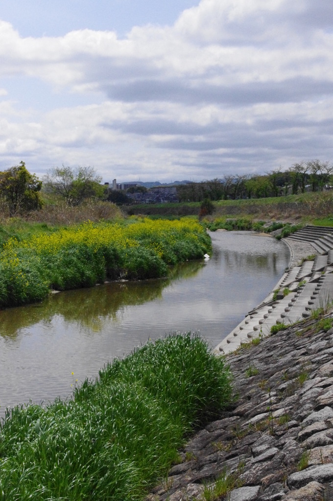 近所の川２