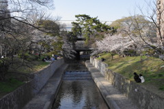 夙川　橋から北向