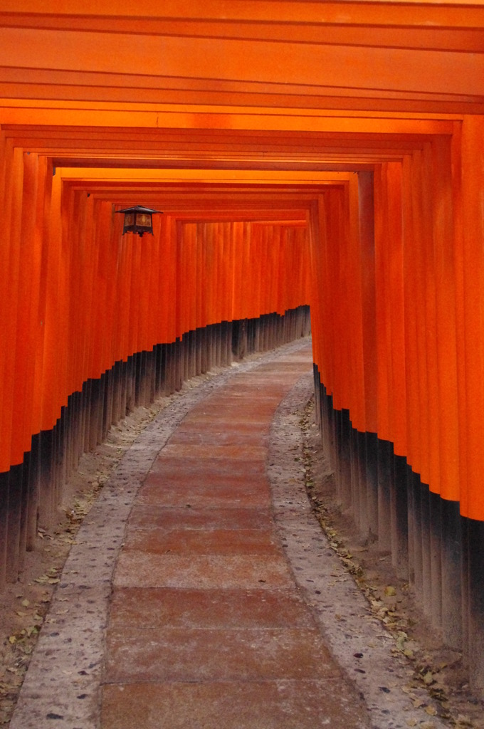 千本鳥居　イン　京都
