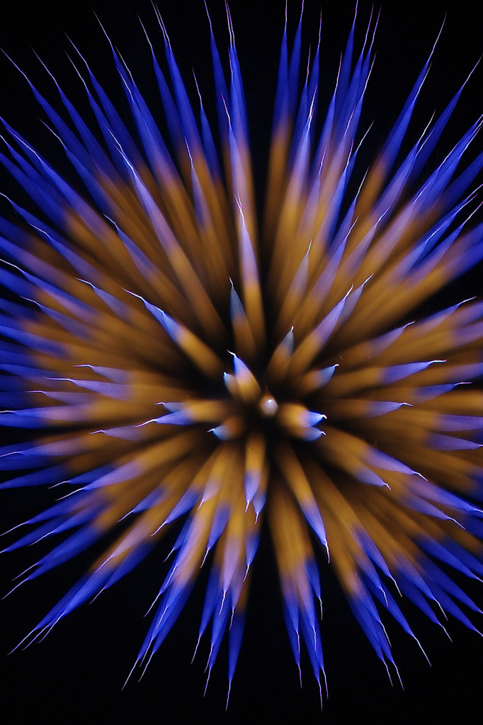 トゲトゲ