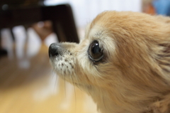 だから、だめだって