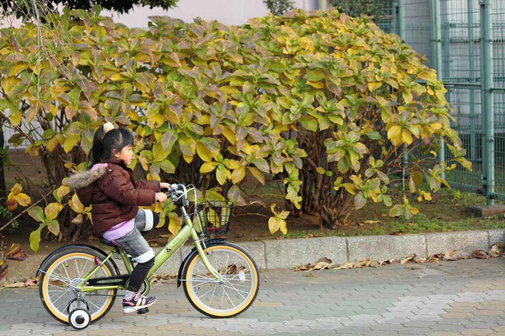 自転車