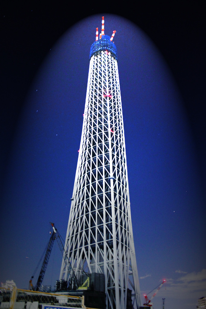 足元から