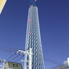 玄関から