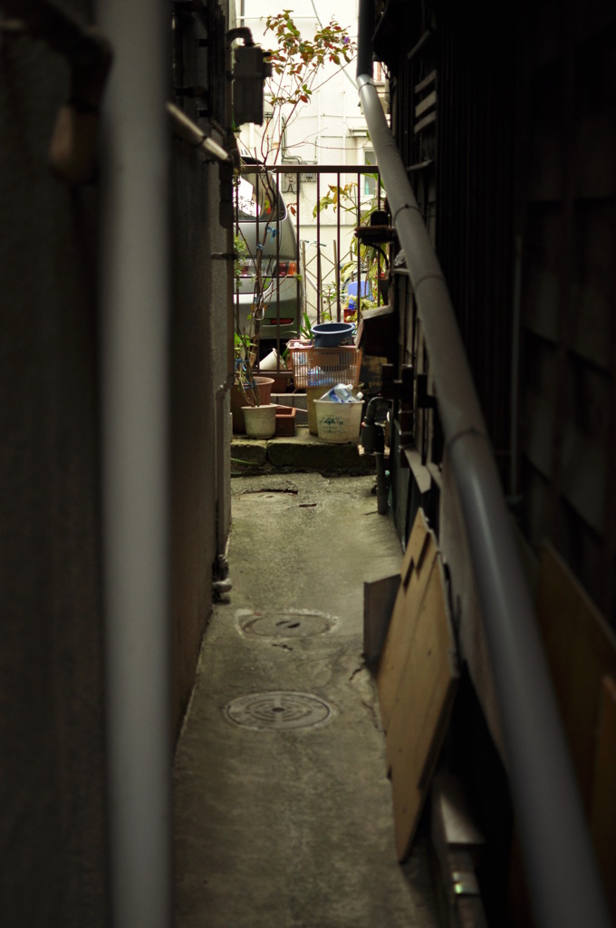 この先にある魅力