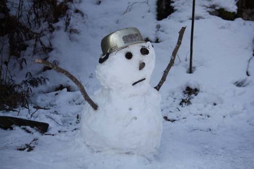 正月の置き土産