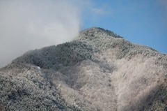 晴れた朝の山