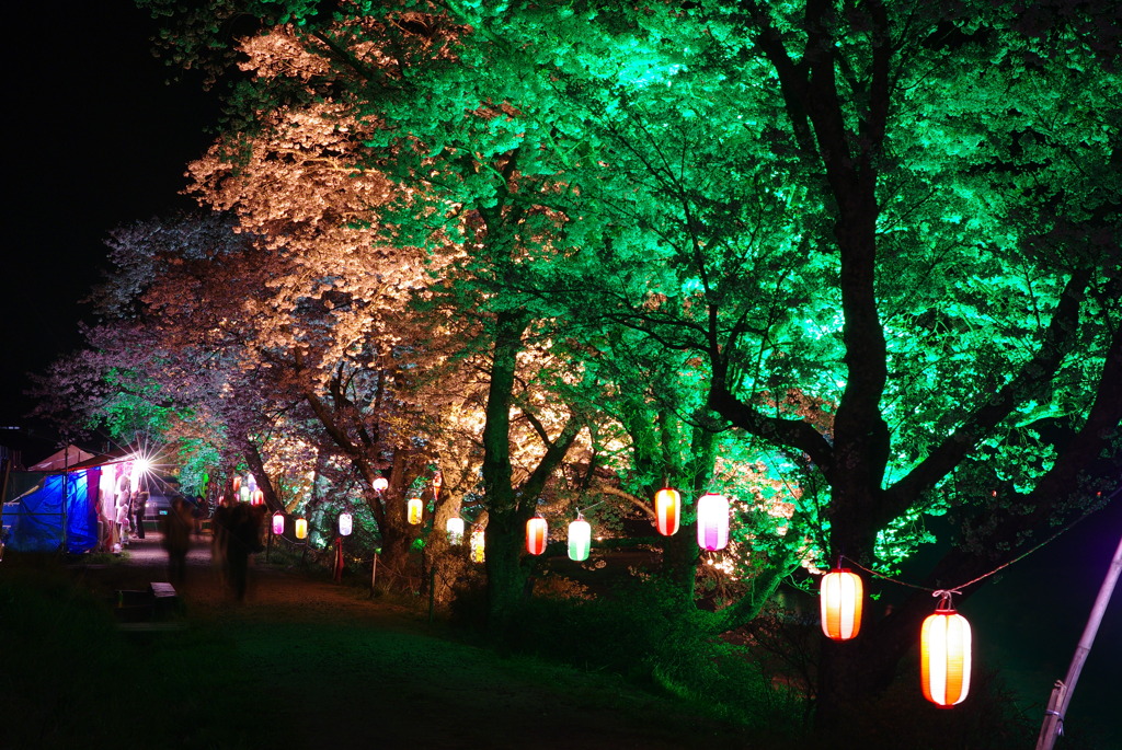 夜祭り千本桜