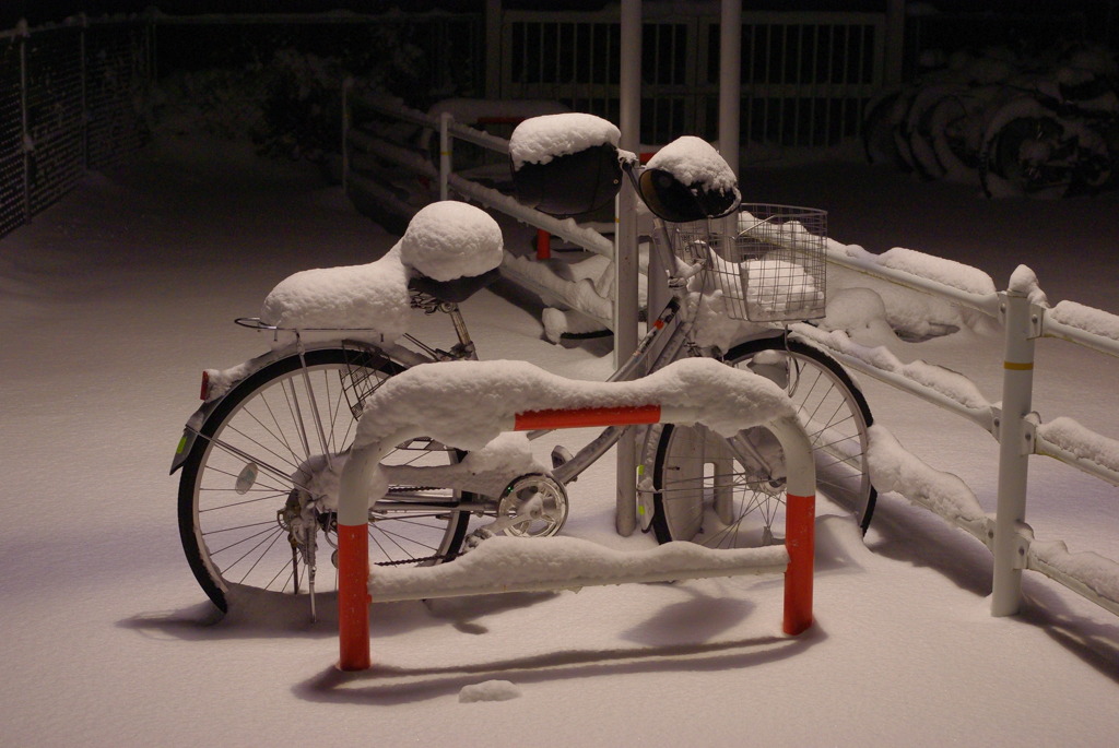 雪被る自転車