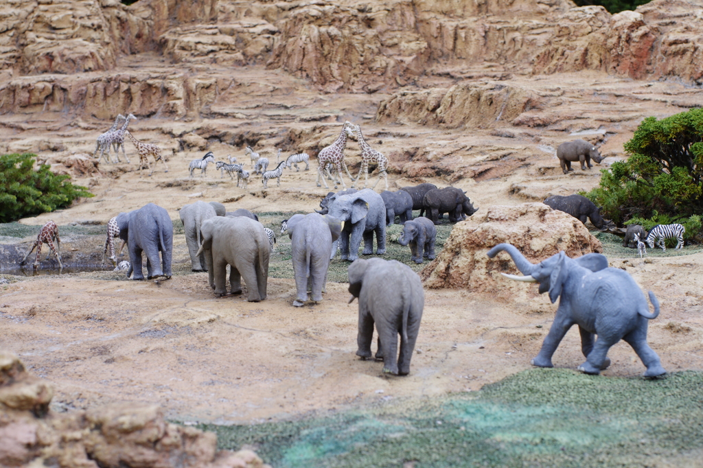 動物公園