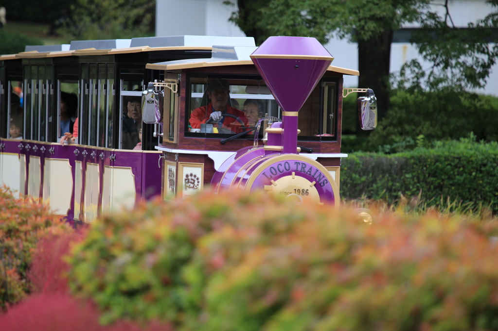 万博公園トレイン