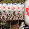 万燈