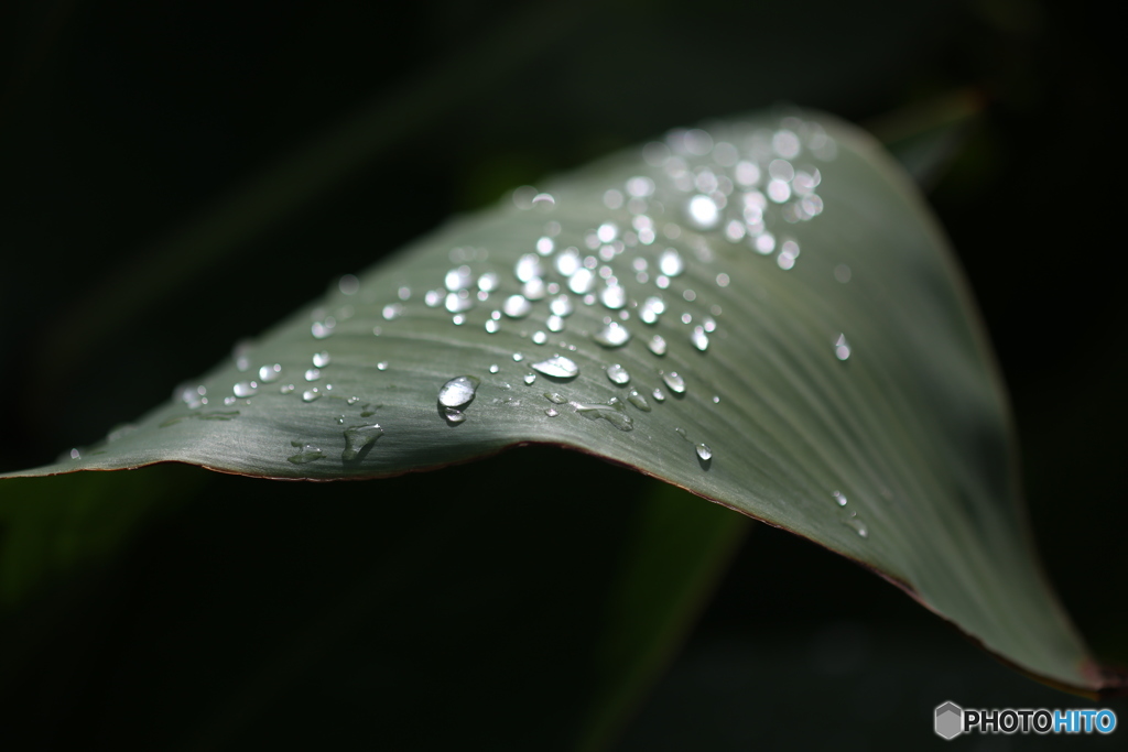 雨上がり