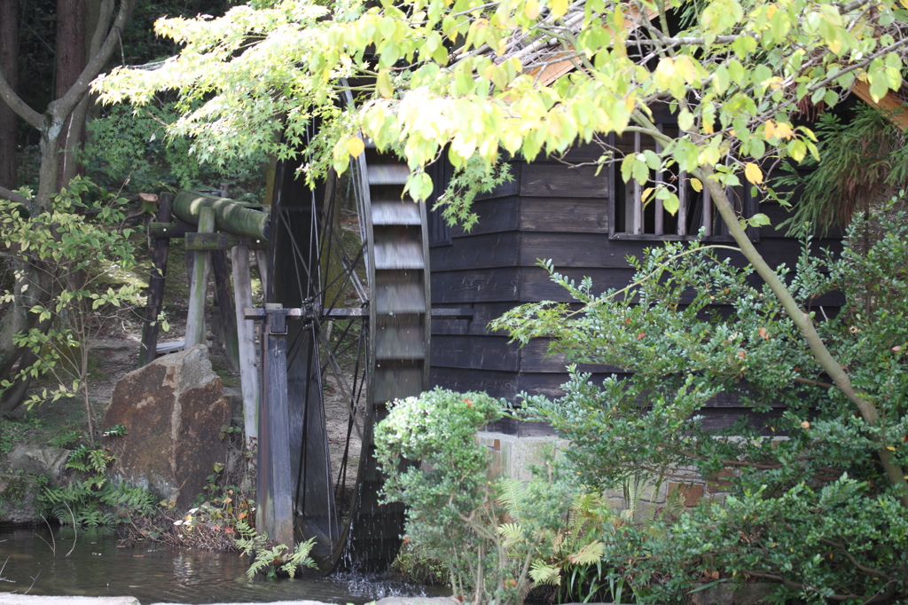 大阪万博公園　2